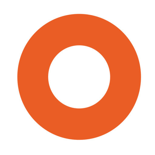 No plans no problems blog logo